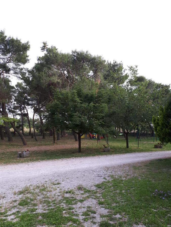 Il Casale Falagario Stacca Villa Altamura Ngoại thất bức ảnh